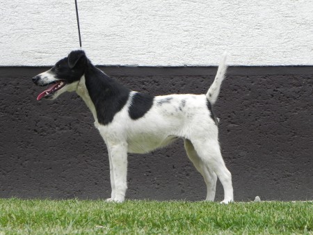 BRITANY Laro Slovakia