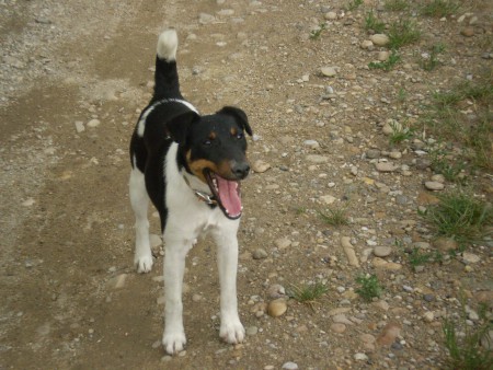 ORSAY Hurikan Slovakia